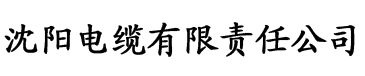 八戒八戒精品午夜福利影院电缆厂logo